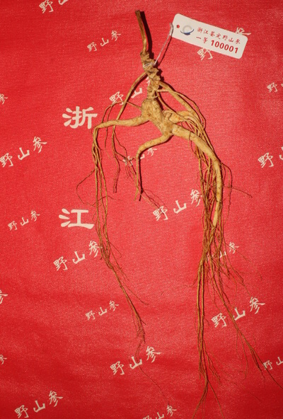 检测图片